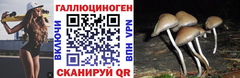 ссылка на мегу tor  Арск  Галлюциногенные грибы Magic Shrooms  наркота 